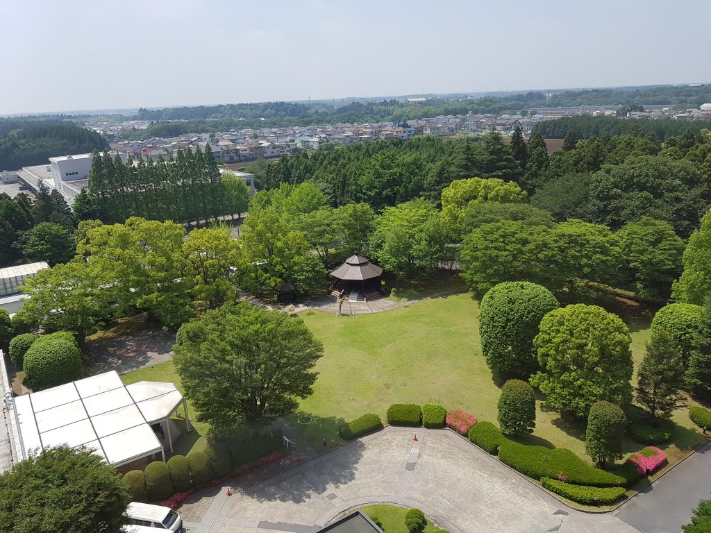 Radisson Narita - widok z okna