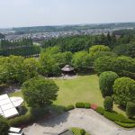 Radisson Narita - widok z okna