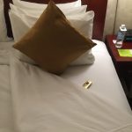 Radisson Narita - turndown service